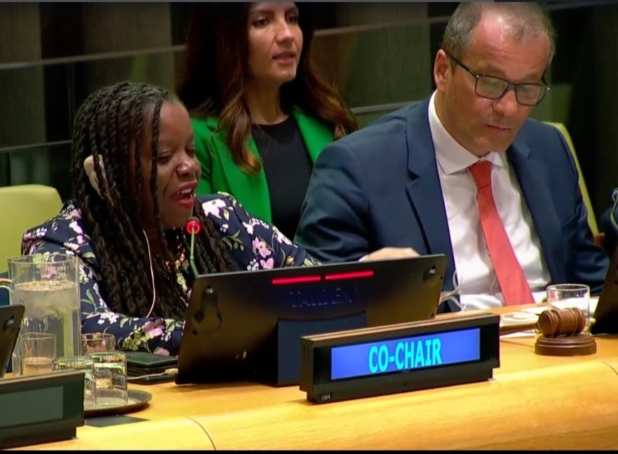 Saint Kitts and Nevis and Romania Lead Key UN Deliberation Ahead of Selection of Next Secretary-General